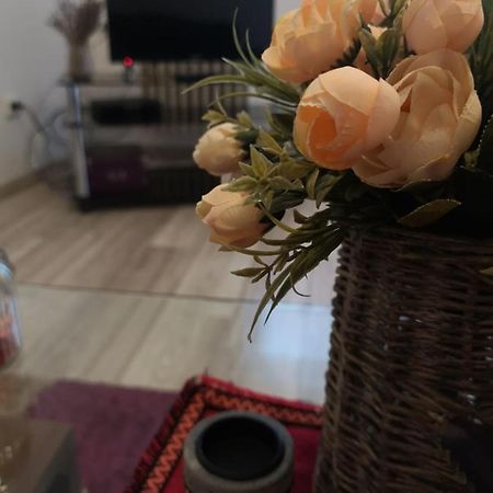 Apartmán Deea Apartament Craiova Exteriér fotografie